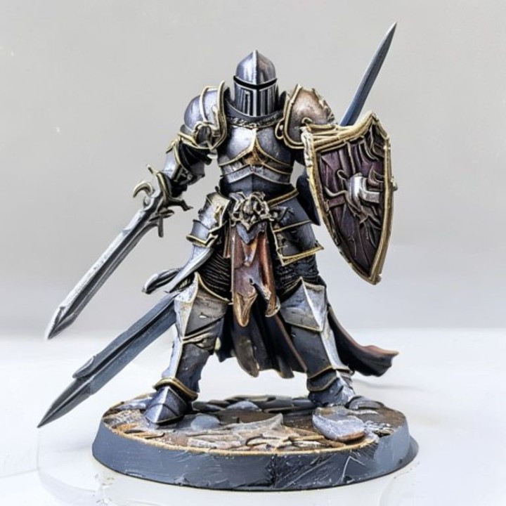 Paladin Miniature JdR 28mm — D&D Pathfinder | minifab3d
