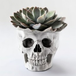 Skull Planter Crâne — Cache-Pot Imprimé 3D | minifab3d