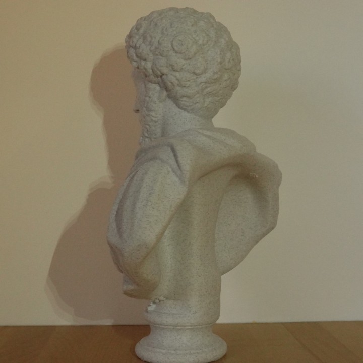 Buste Marc Aurèle empereur philosophe romain | minifab3d