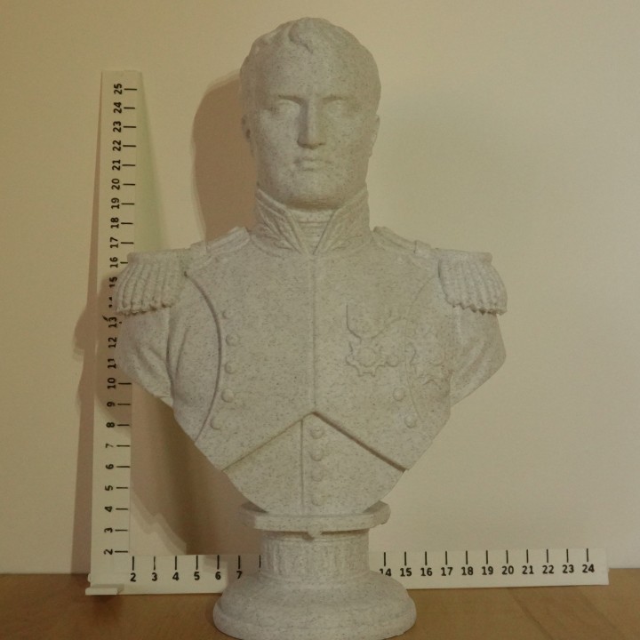 Buste Napoléon Bonaparte empereur français | minifab3d