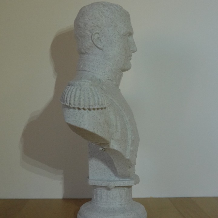 Buste Napoléon Bonaparte empereur français | minifab3d