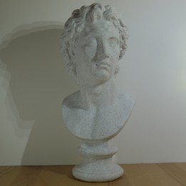 Buste Alexandre le Grand roi de Macédoine