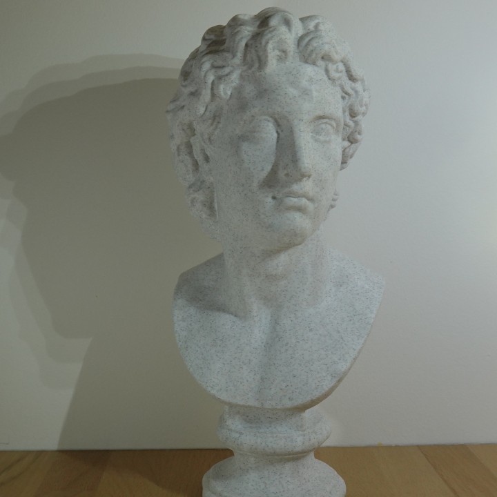 Buste Alexandre le Grand roi de Macédoine | minifab3d