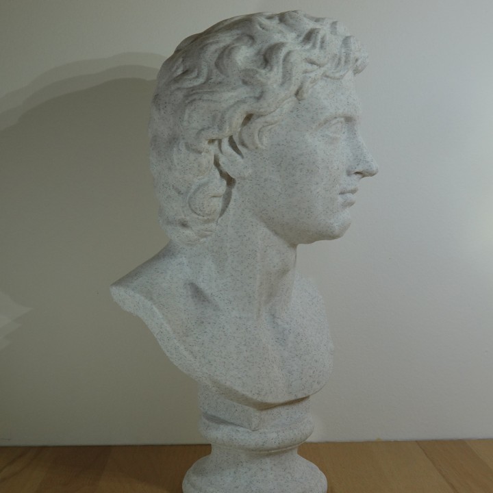 Buste Alexandre le Grand roi de Macédoine | minifab3d
