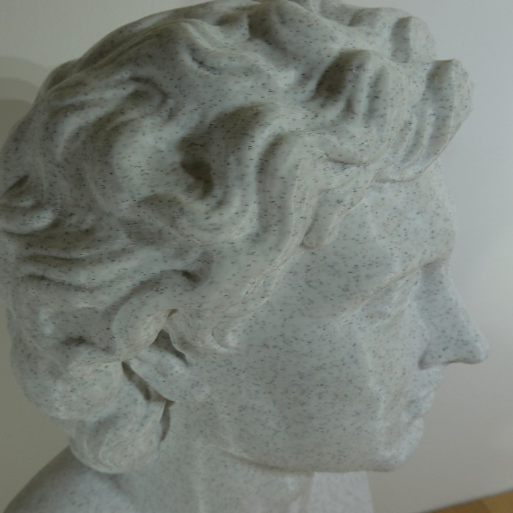 Buste Alexandre le Grand roi de Macédoine | minifab3d