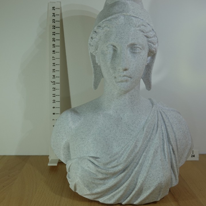 Buste de Marianne symbole de France | minifab3d