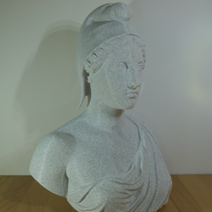 Buste de Marianne symbole de France | minifab3d