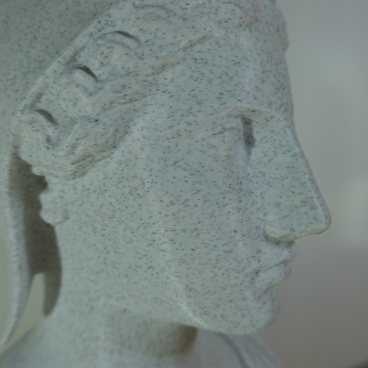 Buste de Marianne symbole de France | minifab3d