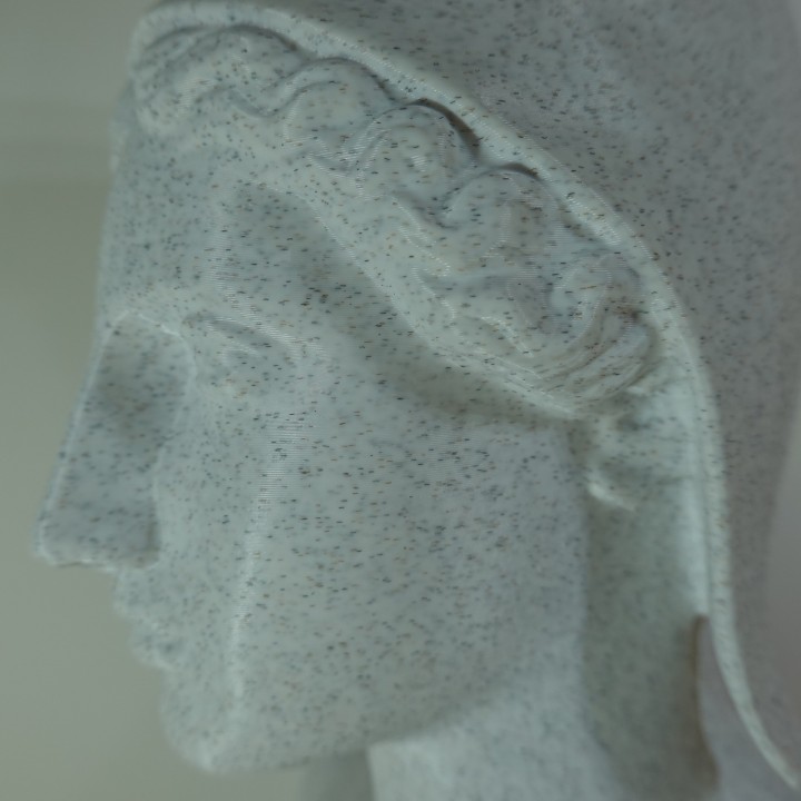 Buste de Marianne symbole de France | minifab3d