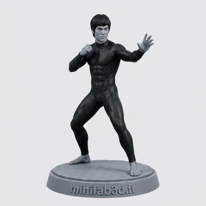 Figurine Maître Arts Martiaux 3D | minifab3d