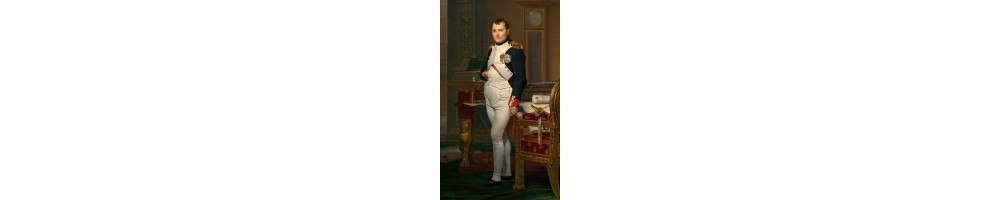 Figurines Napoléoniennes & Guerres de l'Empire | miniFAB3D