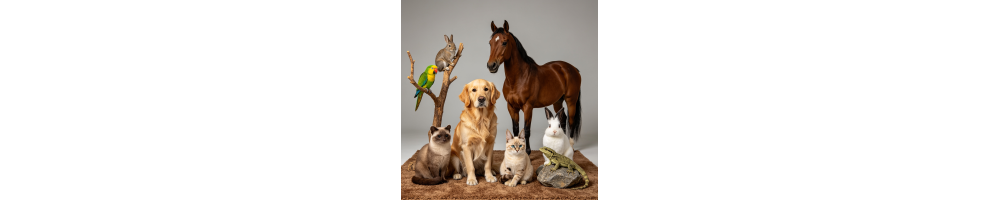 Animaux Personnalisés − Figurines sur mesure | MiniFAB3D